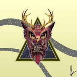 owl