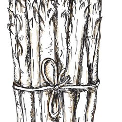Asparagus