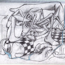 Насекомые в ванной