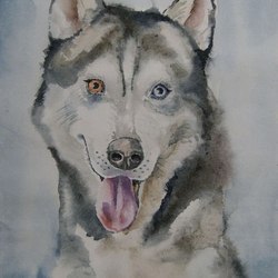 Husky