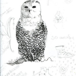 полярная сова