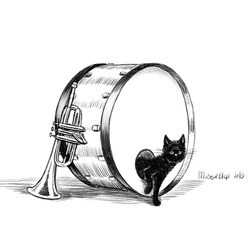 Бывает кот в мешке, а бывает в барабане. ;)