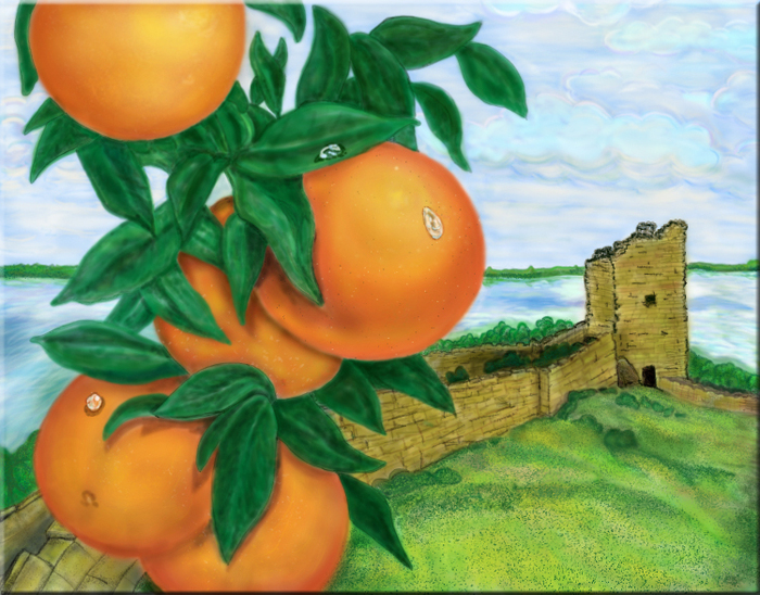 Есть три апельсина. Апельсин живопись. Апельсин иллюстрация. Сказочный апельсин. Апельсиновое дерево для детей.