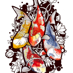 Koi fishes