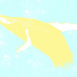 Yellow Whale