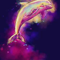 dolphin