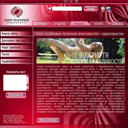 Разработака фирменного стиля 