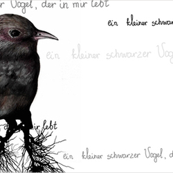 ein kleiner schwarzer Vogel, der in mir lebt