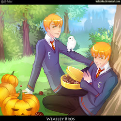 Weasley bros