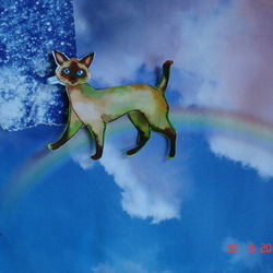 гуляющий кот