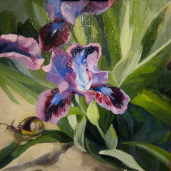 Лиловые ирисы