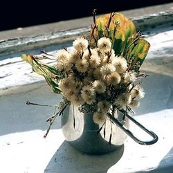 Весна на Васильевском острове