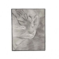 Прекрасные сны