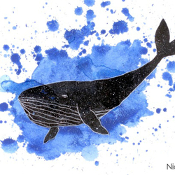 Cosmo whale 