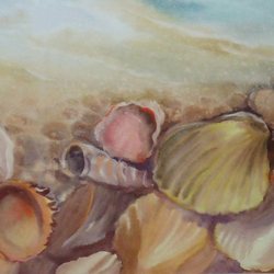 Берег моря - ракушки