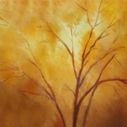 Осенние клены