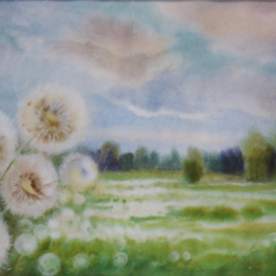 Одуванчики