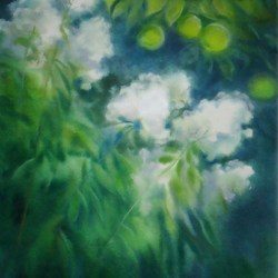 Сад - флоксы