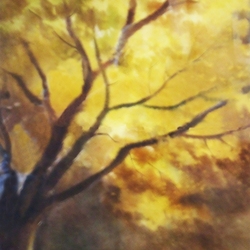 Солнечный дуб