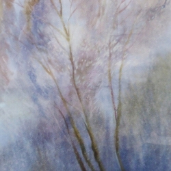 Утренние зайчики