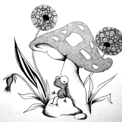 Приклюжения жабки