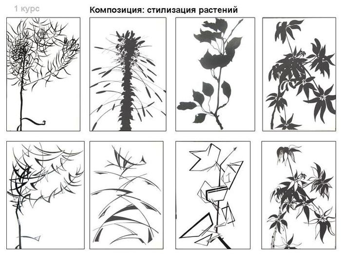 Соедини рисунки растений и птиц с помощью. Стилизация растений этапы. Графическая композиция растения. Трансформация и стилизация композиции растения. Стилизация растений и цветов композиция.