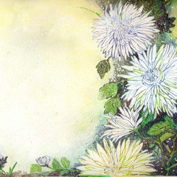 Хризантемы ( иллюстрация для танку)