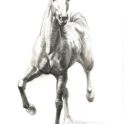 Графический портрет в полный рост.