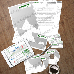 Фирменный стиль Fintop