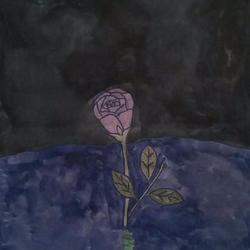 Водяная роза