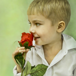 Мальчик с розой