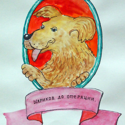 Собачье сердце, Шариков до операции