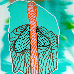 без названия