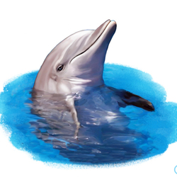 Иллюстрация для книги Брема «Жизнь животных» «Дельфин»