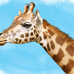 Иллюстрация для книги Брема «Жизнь животных» «Жираф»