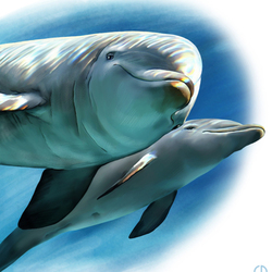 Иллюстрация для книги Брема «Жизнь животных» «Дульфины»