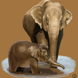 Иллюстрация для книги Брема «Жизнь животных» «Слоны»
