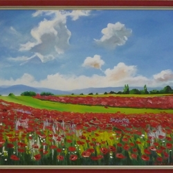 Маковое поле