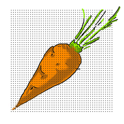 Carrot