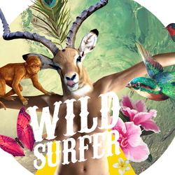 wild surfer2