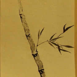 бамбук 1