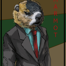 Marmot