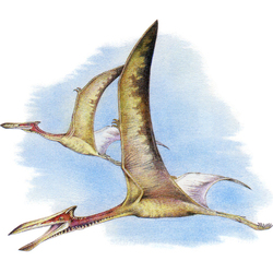 Птерозавр кетцалькоатль