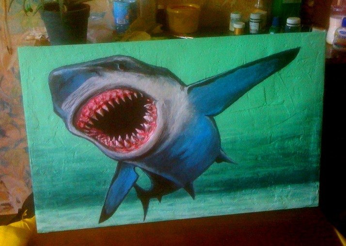 белая акула