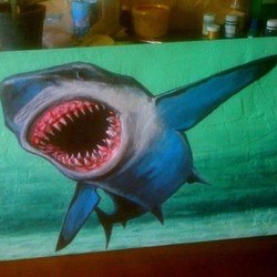 белая акула