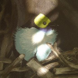 птичка цветок