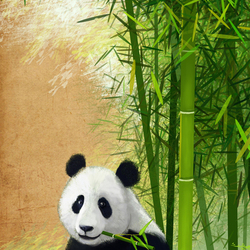 Панда