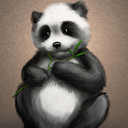panda.jpg
