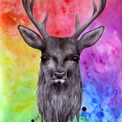 The deer