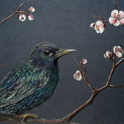 Starling